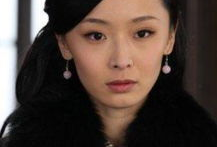 黑狐电视剧演员表,揭秘神秘特工团队的传奇历程